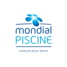 réparation piscine à Argenton sur Creuse près de Châteauroux dans l'Indre 36